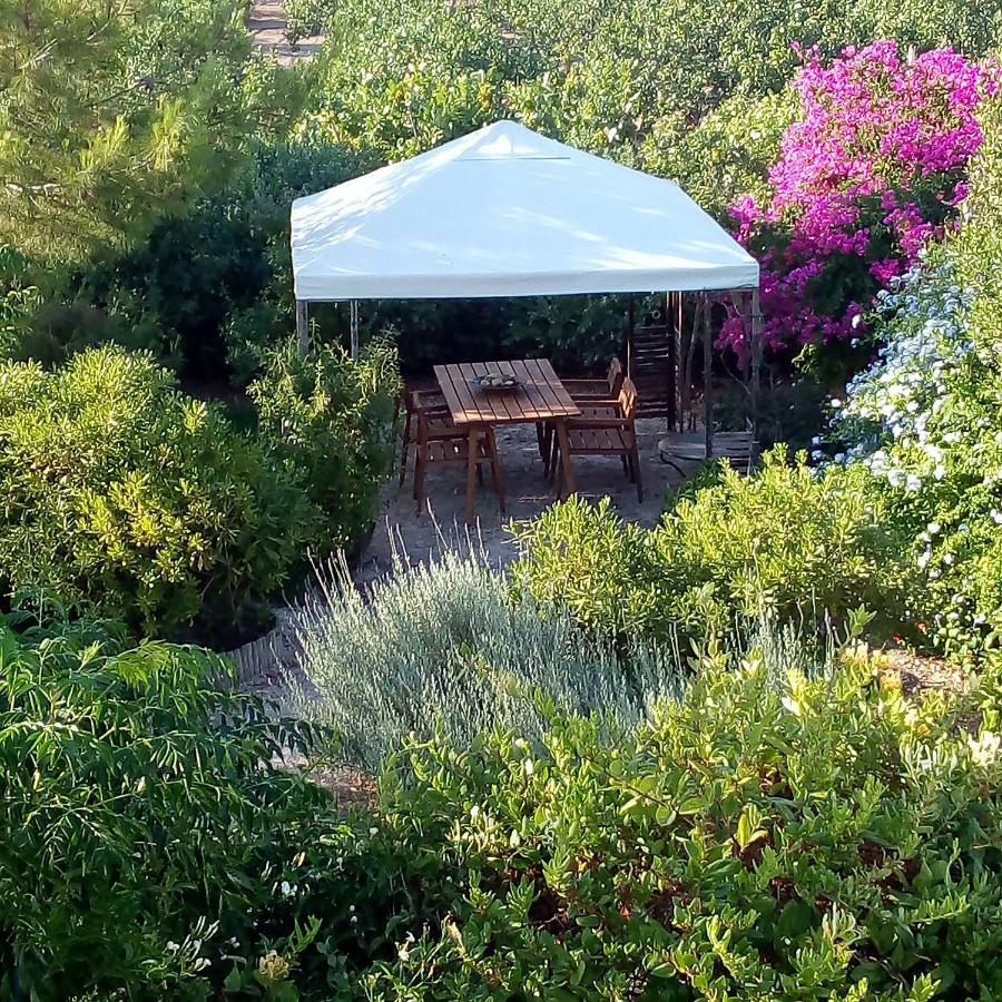 Willa Aegina'S Oasis Zewnętrze zdjęcie