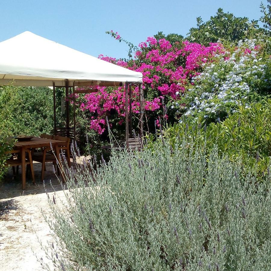 Willa Aegina'S Oasis Zewnętrze zdjęcie
