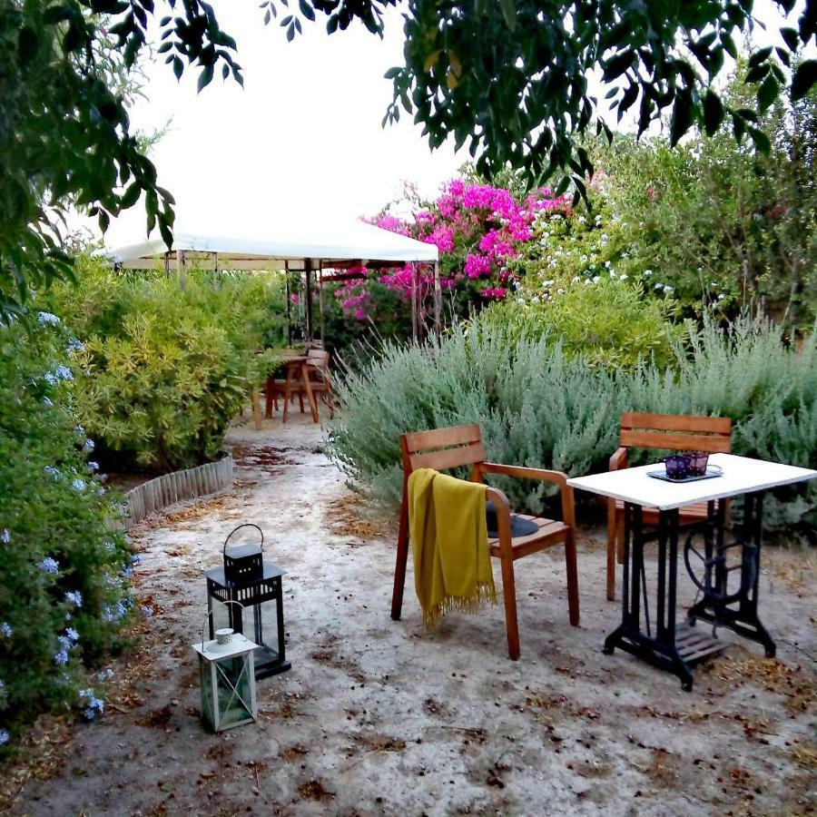 Willa Aegina'S Oasis Zewnętrze zdjęcie